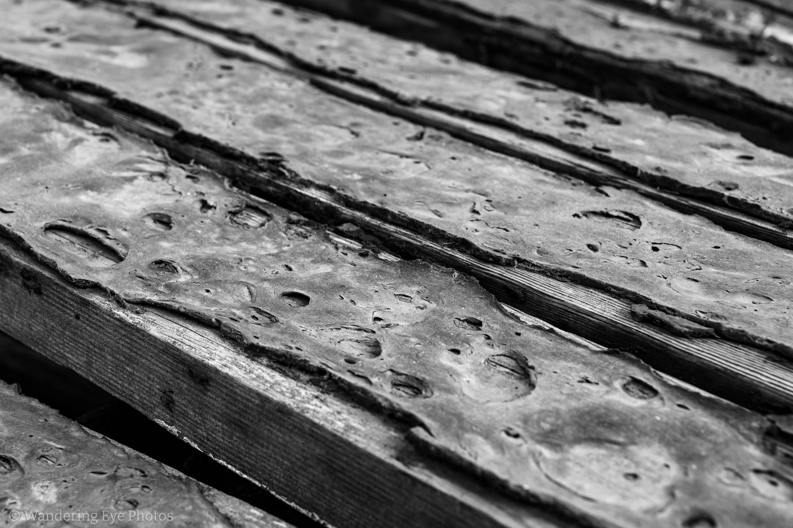 03.24 09.06.38   DSC07940